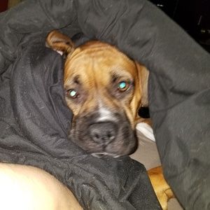 Meet your Posher, Kevin